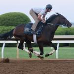 Why Quip Could Be Very Dangerous in Preakness Stakes