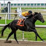 Reagan’s Honor Ready to Fulfill Potential in Blue Grass Stakes