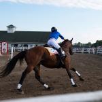 Common Myths About OTTBs, and What's Actually True