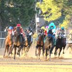 Historical Trends to Help Bet the 2026 Rebel Stakes