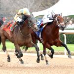 Class President Holds Off Silent Tactic to Win Rebel Stakes Thriller