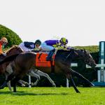 ‘Horse for Course’ Remember Mamba the Top Pick in Bryan Station Stakes