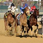 Profitable Trifecta Betting Strategy for 2025 Remsen Stakes