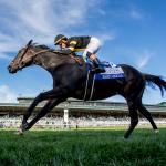 Rhetorical, American History Shine on Fall Stars Saturday at Keeneland