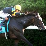 Buy or Sell on Road to Breeders’ Cup: Coolmore Turf Mile Stakes Winner Rhetorical