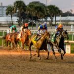 Byron King’s Derby Dozen for Feb. 19