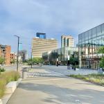 Beyond the Racetrack: What to Do in Lexington During 2026 Breeders’ Cup Week