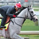 Re-Enter Sandman: Fan Favorite Primed for His 2026 Debut on Saturday