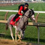 Fan Favorite Sandman Rested and Ready for Test in Jim Dandy Stakes