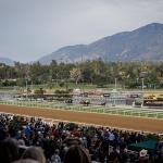 Proving Ground: Santa Anita a Key Pathway to Breeders’ Cup Success