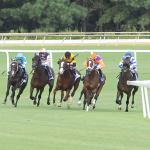 2026 Secretariat Stakes at a Glance