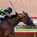 Buy or Sell on Road to Breeders’ Cup: Clement L. Hirsch Winner Seismic Beauty 