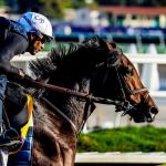 Sierra Leone the Top Selection in Stacked Whitney Stakes