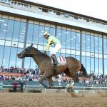 2026 Kentucky Derby Prospect Profiles: Southwest Stakes Winner Silent Tactic 