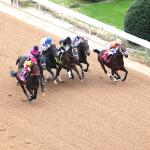 Where to Watch/Listen: Horse Racing Coverage Jan. 1-4