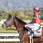 Equibase Rankings: Notable Early-Season Earnings Leaders for 2026