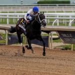 Solitude Dude Can Carry His Speed to Victory in Fountain of Youth Stakes