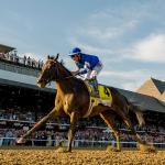 Breeders' Cup Classic Power Rankings: Sovereignty Tops Final Poll of Top 10 Contenders