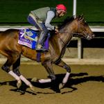 Banking on a 15-1 Longshot in the Breeders’ Cup Juvenile Fillies