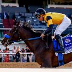 Key Takeaways from Racing News Five Weeks Out From Breeders’ Cup
