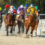 Where to Watch/Listen: Horse Racing Coverage Nov. 19-23