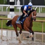 Can Tappan Street Repeat Florida Derby Win in 2026 Pegasus World Cup?