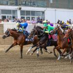 2026 Preakness Stakes at a Glance