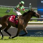 A Longshot Play for the Woodbine Mile