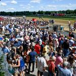 BloodHorse Industry Survey: Panelists Discuss Promoting Horse Racing in 2026