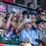 Where to Watch/Listen: Travers Stakes Week 2025