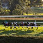 Win Big in the Bluegrass: Tips and Trends for Betting Keeneland’s Fall 2025 Meet
