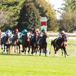 Where to Watch/Listen: Horse Racing Coverage Oct. 8-12