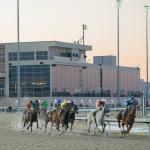 Where to Watch/Listen: Horse Racing Coverage Feb. 19-22