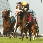 2025 Summer Stakes at a Glance
