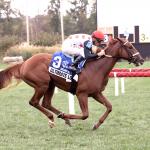 Buy or Sell on Road to Breeders’ Cup: Juvenile Fillies Turf Contender Ultimate Love