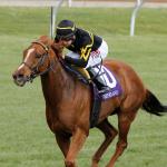 Horses to Know at the 2018 Royal Ascot Meet