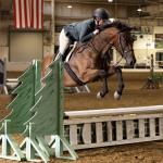  Thoroughbred Makeover Diary: Summer Fun and New Experiences for Teddy Spaghetti