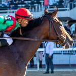 Ten Key Takeaways You Need to Know From a Monster Weekend of Racing