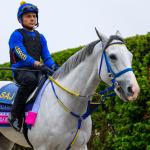 White Abarrio Gets Slight Edge Over Sovereignty and Journalism in Oaklawn Handicap 