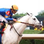 White Abarrio a ‘Man in His Prime’ Ahead of Stephen Foster Stakes