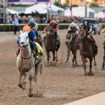 An Early Look at the Probable Field for the 2026 Pegasus World Cup