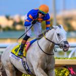 White Abarrio: Remarkable Racing Career Gives Way to a New Chapter