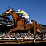 Dual Breeders’ Cup Distaff Winner Monomoy Girl: Fighter, Competitor, Champion