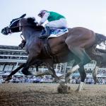 Five Key Takeaways from Haskell Stakes Weekend
