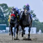 Mandaloun Wins Haskell Via Disqualification, Earns Breeders' Cup Berth