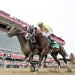 Cloud Computing Overhauls Classic Empire Late for Preakness Upset