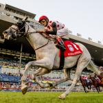 Eight Things You Need to Know About the 2021 Ricoh Woodbine Mile