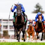 Using History as a Guide to Betting the 2025 Breeders’ Cup Turf