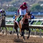 Defending Classic Winner Forever Young Among Record 255 Pre-Entries for 2026 Breeders’ Cup