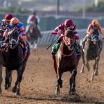 To Bet or to Fade: Using Trends to Narrow the 2026 Breeders' Cup Classic Field